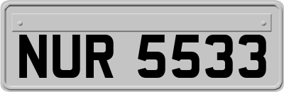 NUR5533