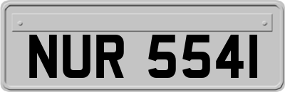 NUR5541
