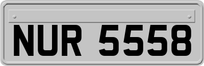 NUR5558