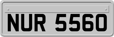 NUR5560