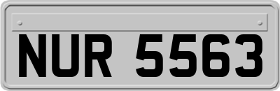 NUR5563