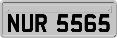 NUR5565
