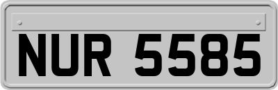 NUR5585