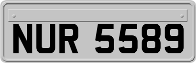 NUR5589