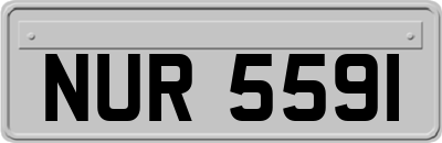 NUR5591