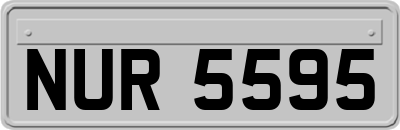 NUR5595