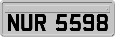 NUR5598