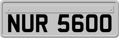 NUR5600