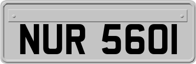 NUR5601