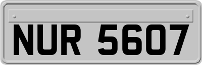 NUR5607