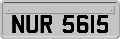 NUR5615