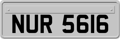 NUR5616