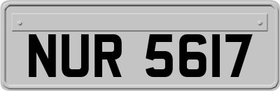 NUR5617