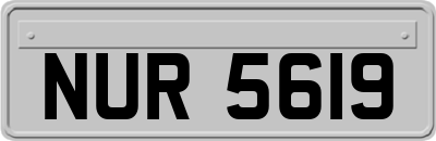 NUR5619