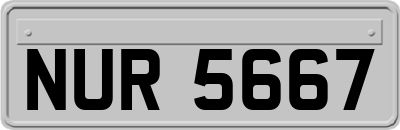NUR5667