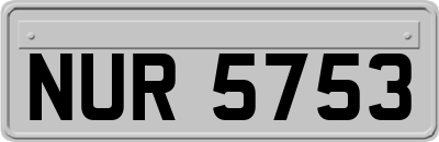 NUR5753