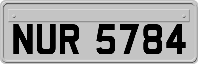 NUR5784