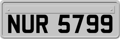 NUR5799
