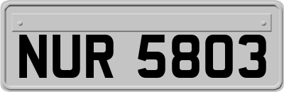 NUR5803