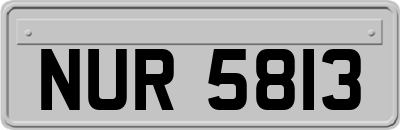 NUR5813