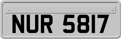 NUR5817