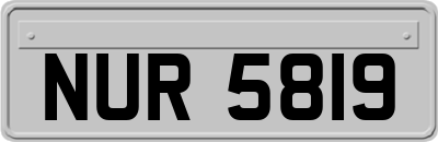 NUR5819