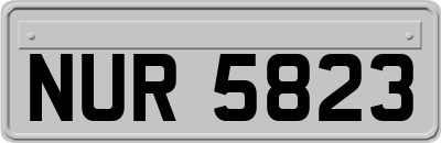 NUR5823