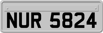 NUR5824