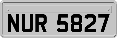 NUR5827
