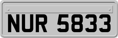 NUR5833