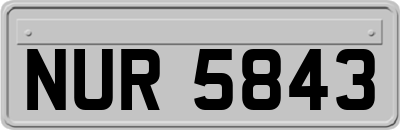 NUR5843