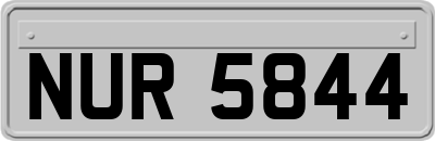 NUR5844