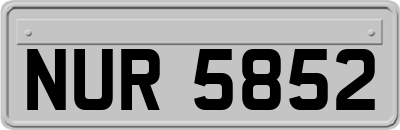 NUR5852