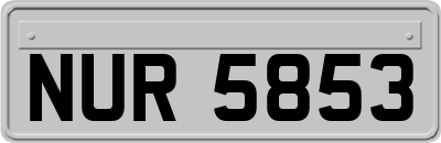 NUR5853