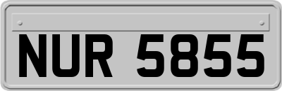 NUR5855