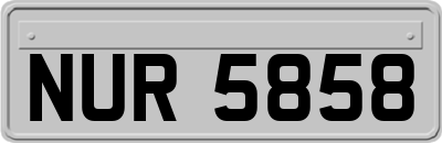 NUR5858