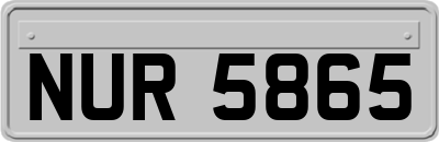 NUR5865
