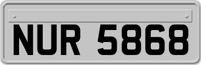 NUR5868