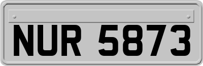 NUR5873