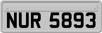 NUR5893