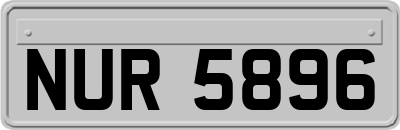 NUR5896