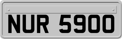 NUR5900