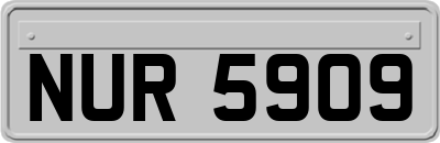 NUR5909