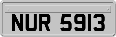 NUR5913
