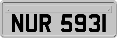 NUR5931