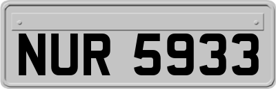 NUR5933