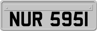 NUR5951