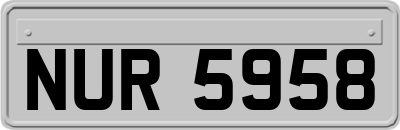 NUR5958