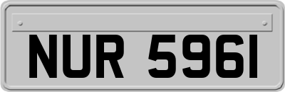NUR5961