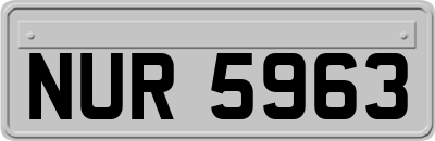 NUR5963
